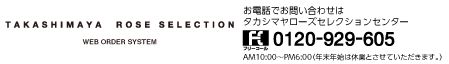 高島屋ローズセレクション